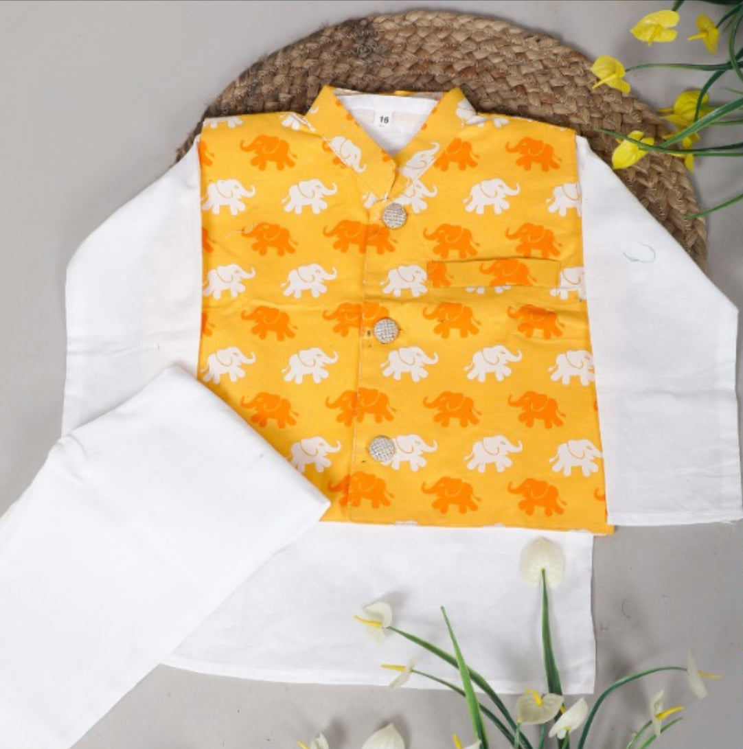 White Kurta With Yellow Jacket and Plant