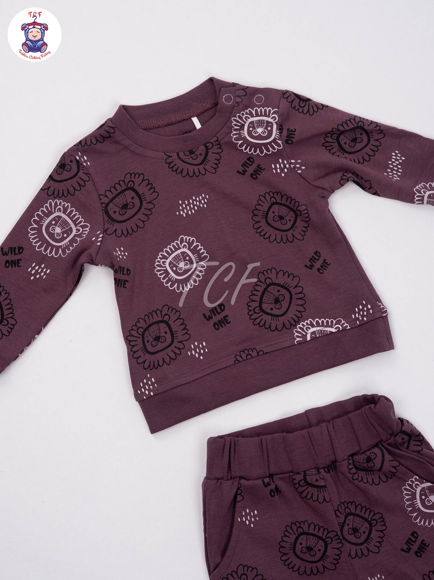Purple Lion - Boys Night Wear
