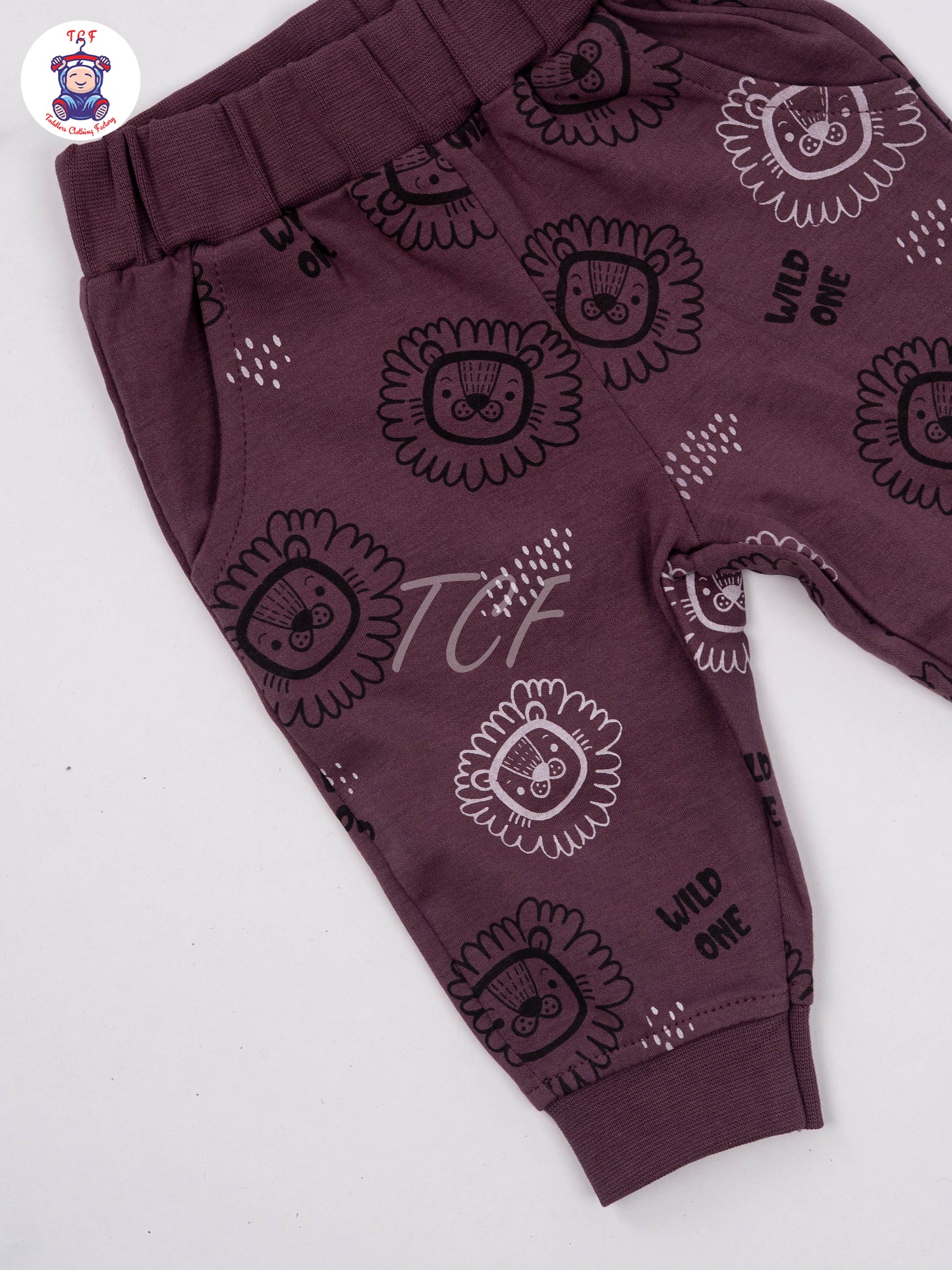 Purple Lion - Boys Night Wear