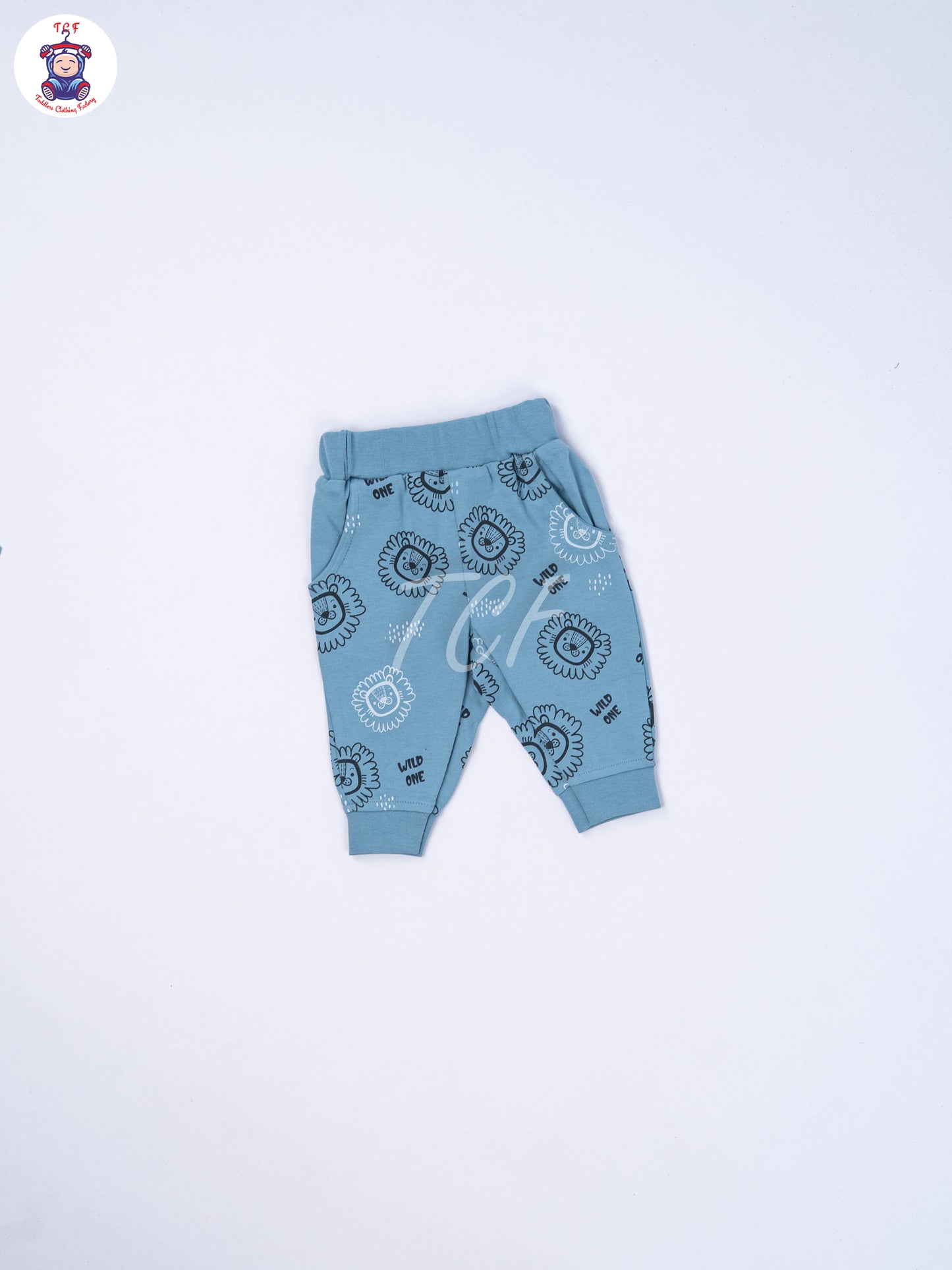 Teal Blue Lion - Boys Night Wear