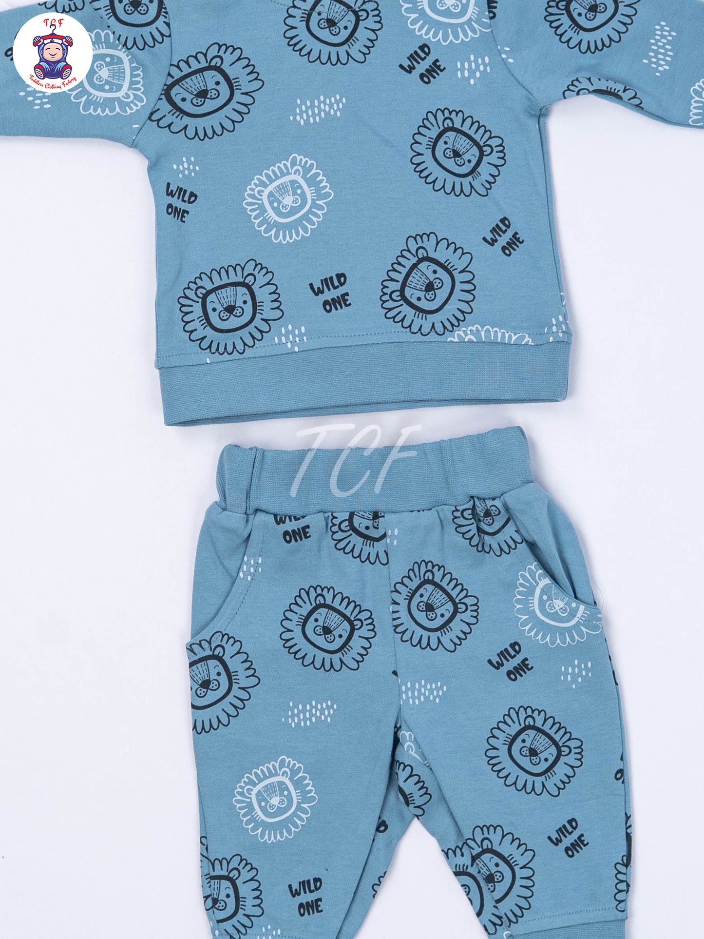 Teal Blue Lion - Boys Night Wear