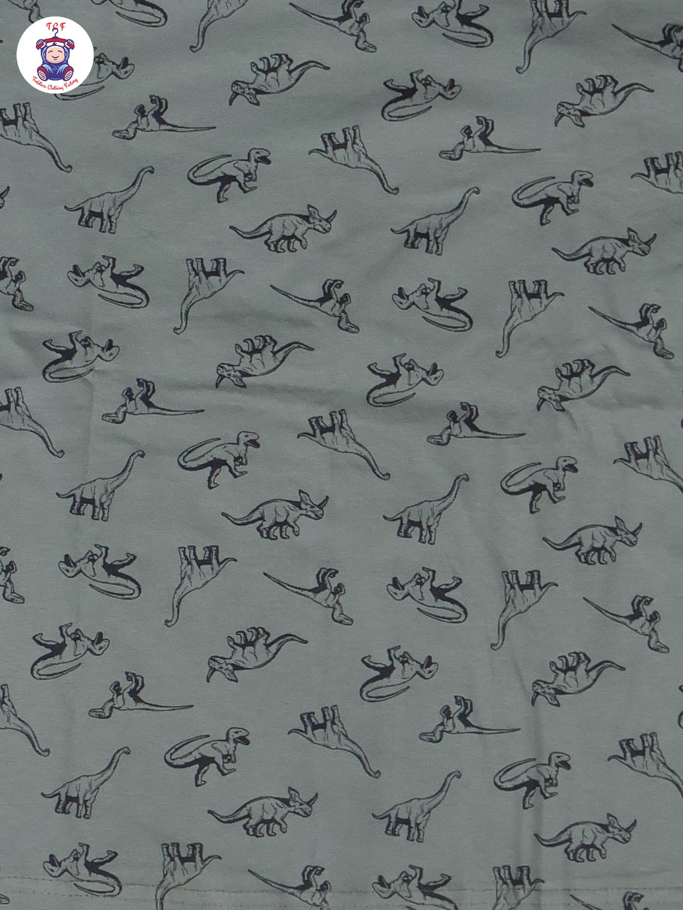 Dark Green - Dinosaur Boys Night Wear