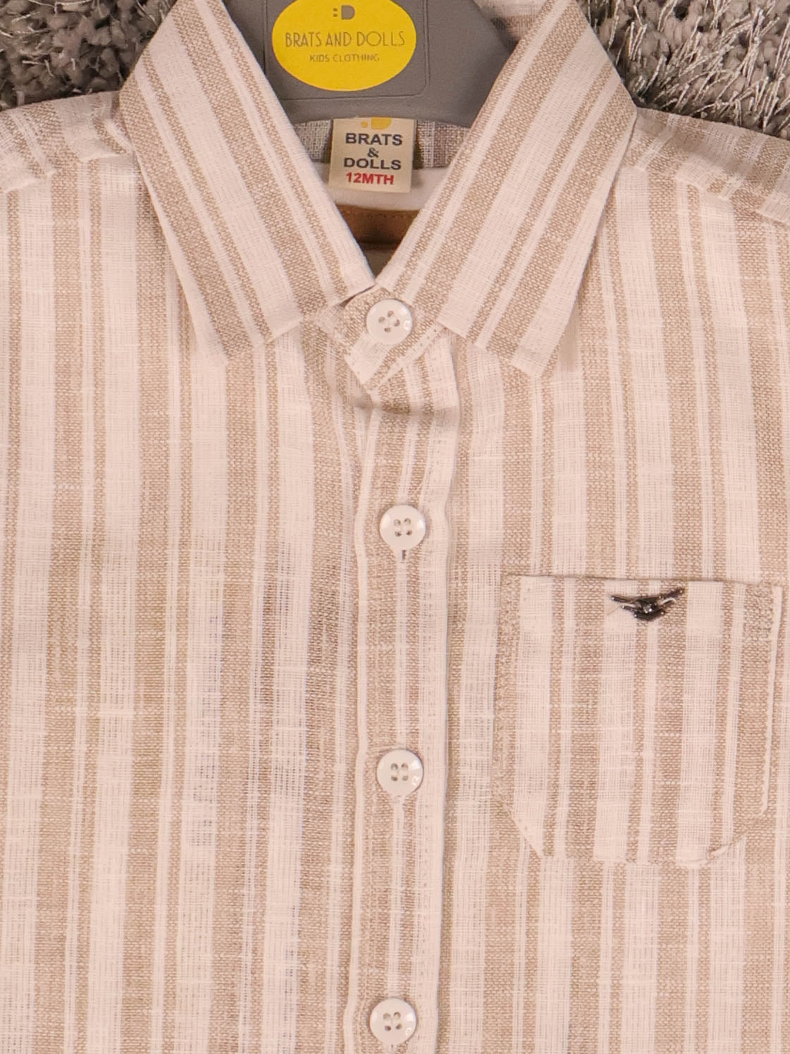 Brown & White T-Shirts With Shirt and Shorts