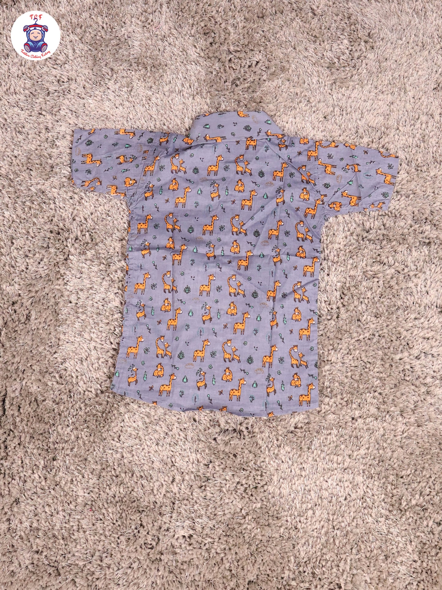 Blue & Orange - Zebras Boys Readymade Cotton Shirts & Shorts