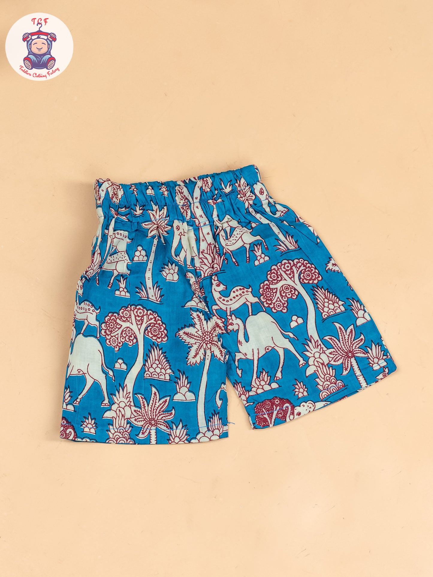 Sky Blue & White - Girls Kalamkari Printed Co-ords Sets