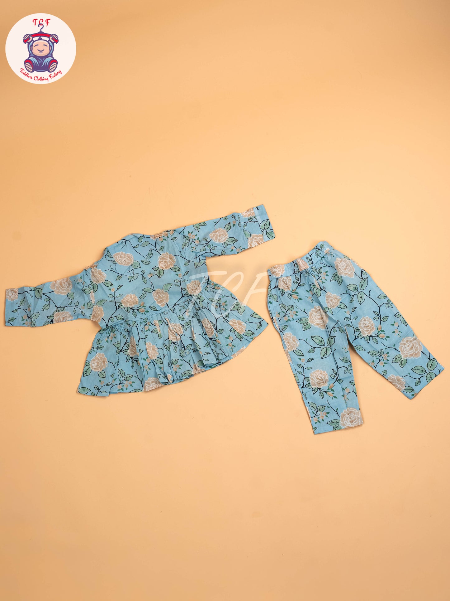 Blue - Girls Floral printed Co-ords Sets