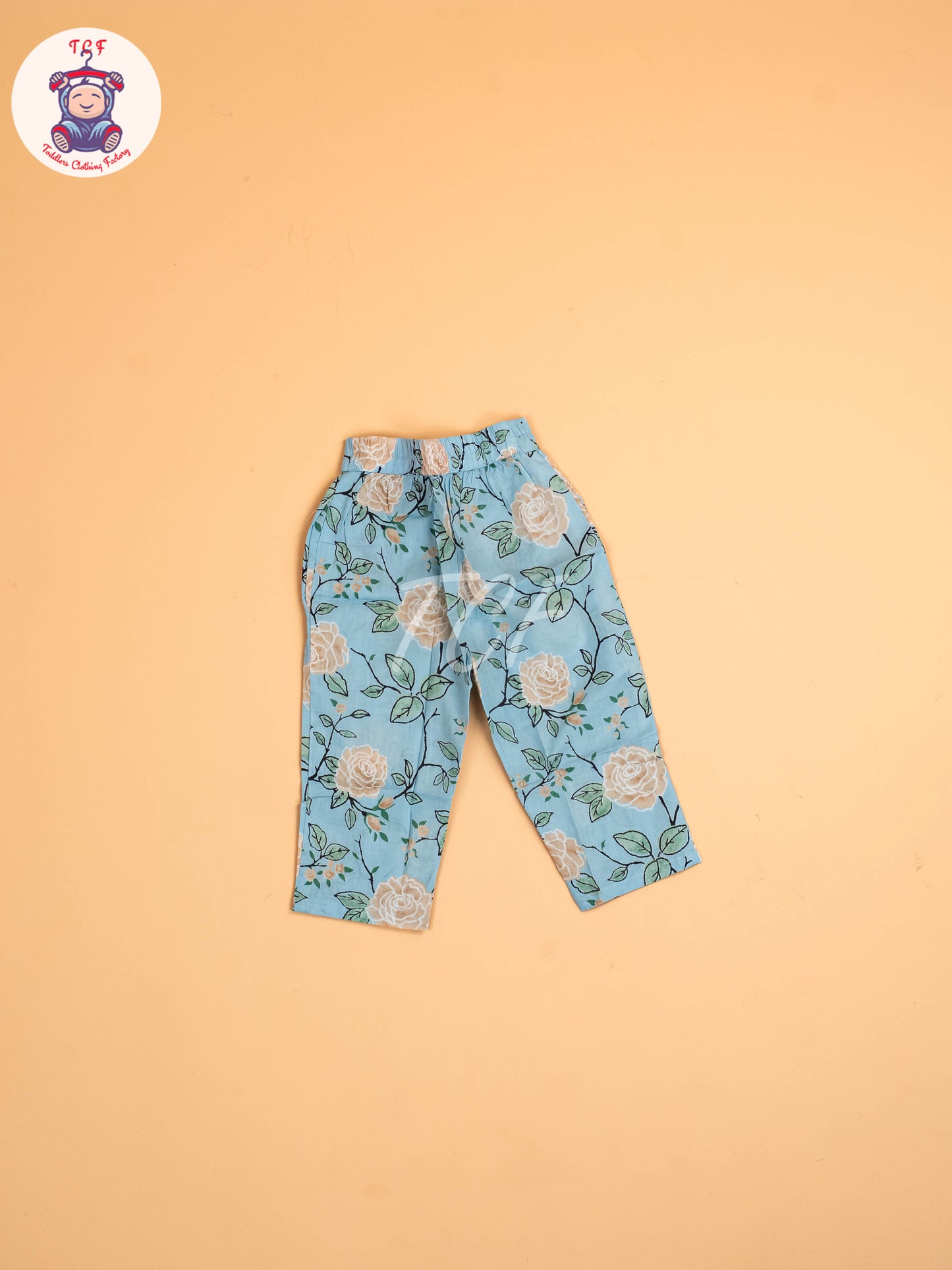 Blue - Girls Floral printed Co-ords Sets