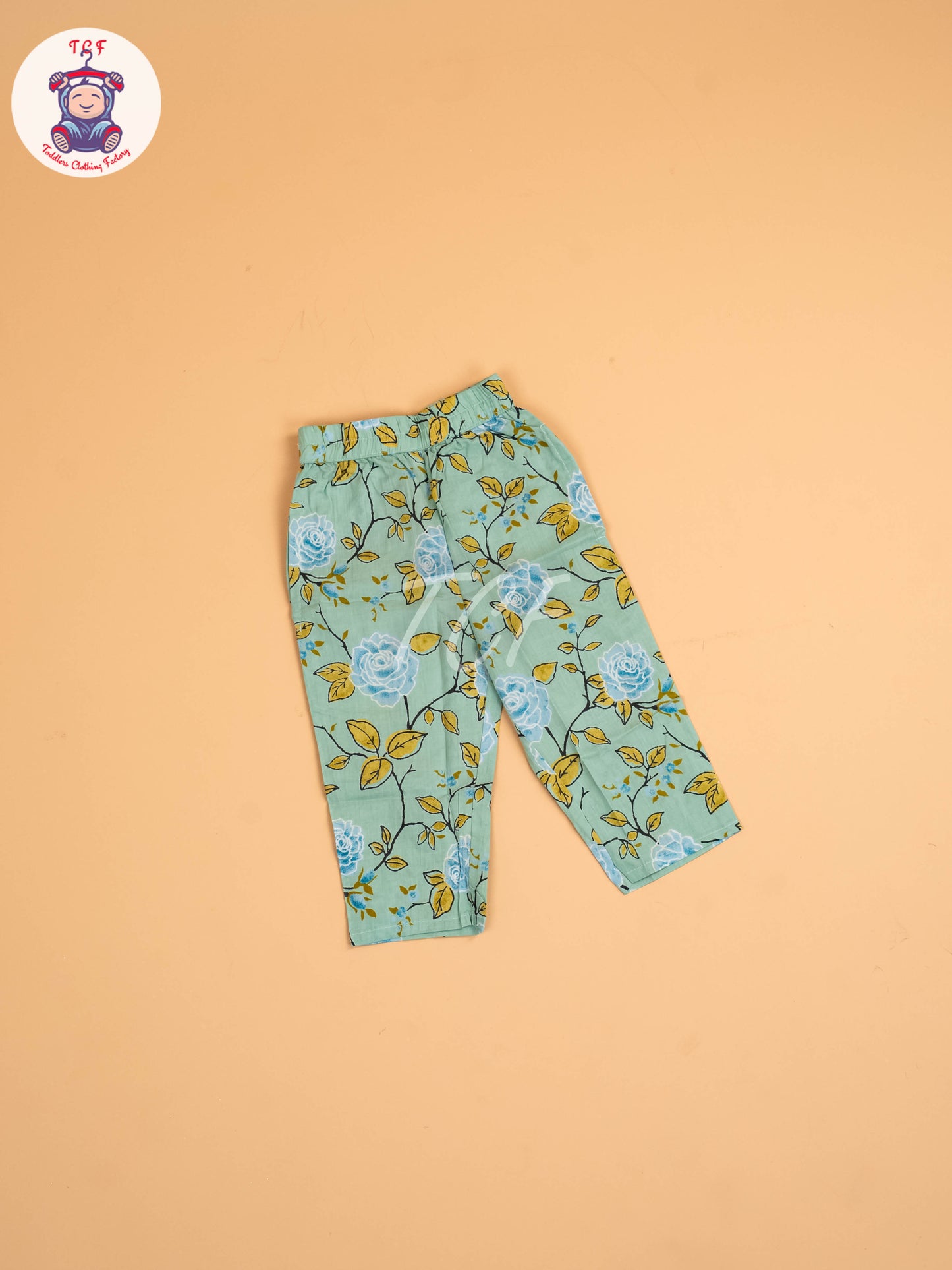 Green - Girls Floral printed Co-ords Sets
