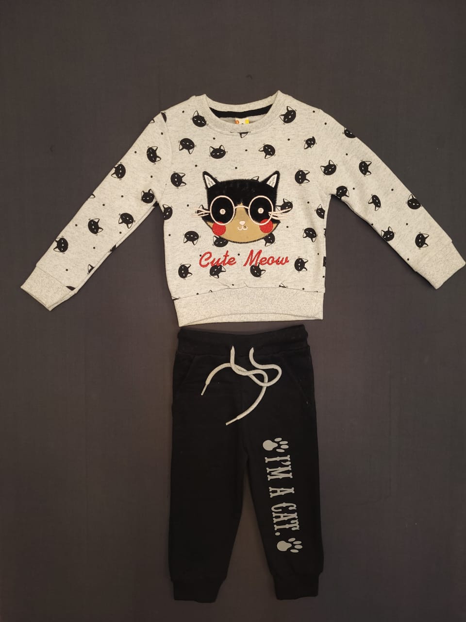 Cute Meow Jogger set