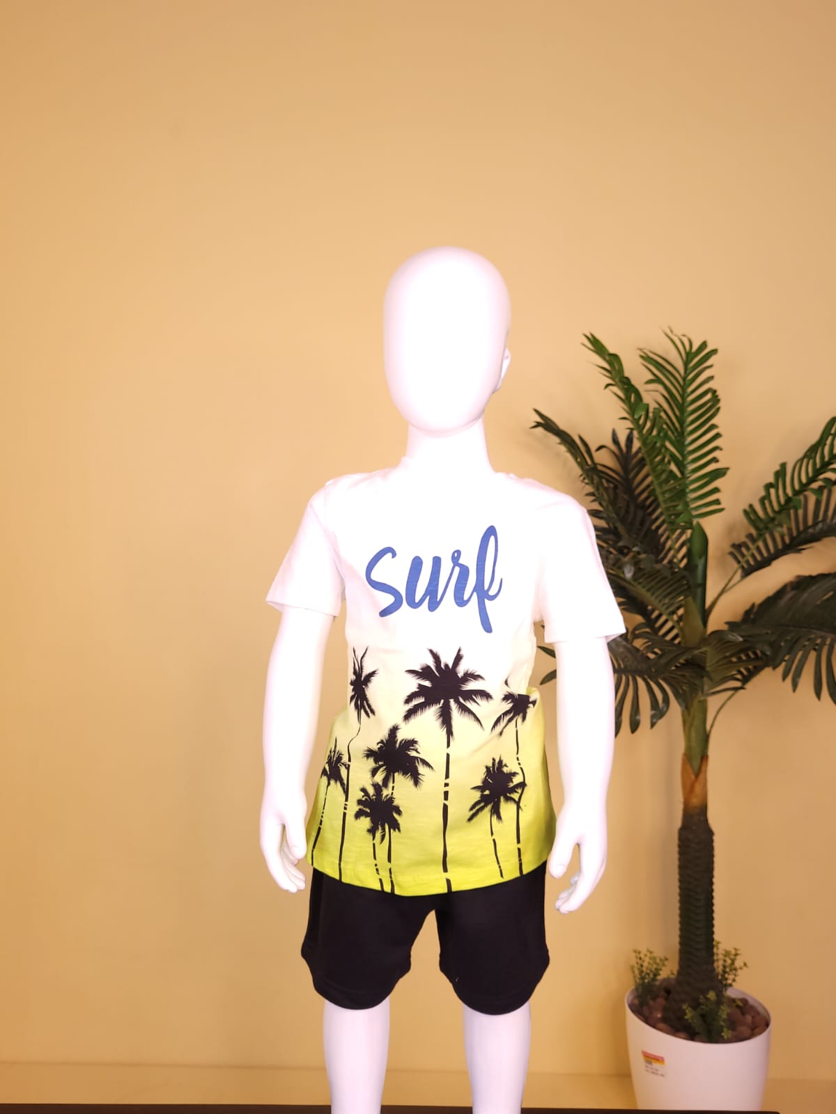 Boys Tees Surf
