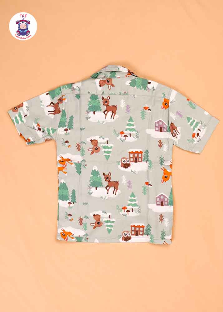 Lite Green - Boys Readymade Spread Collar Shirts