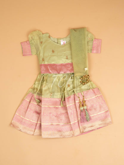 Light Green & Pink - Semi Leghanga Choli