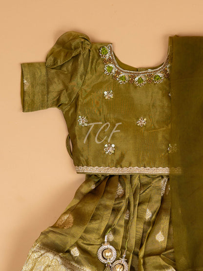 Light Green & Brown - Semi Leghanga Choli