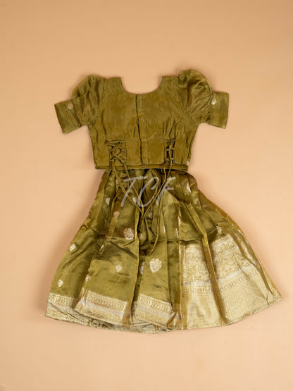 Light Green & Brown - Semi Leghanga Choli