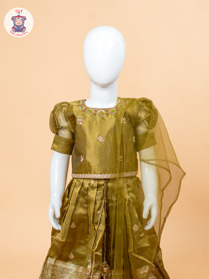 Light Green & Brown - Semi Leghanga Choli
