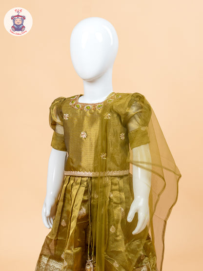 Light Green & Brown - Semi Leghanga Choli
