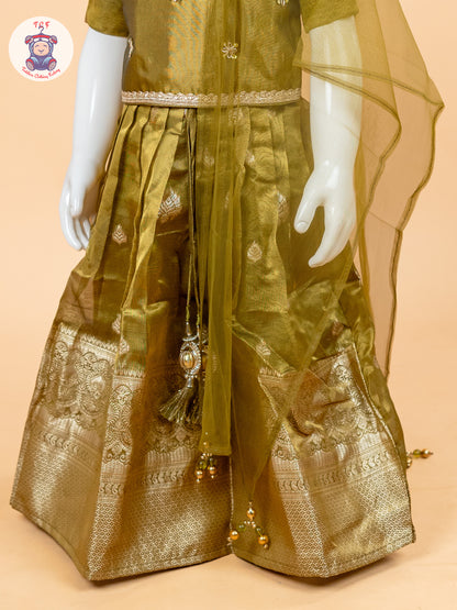 Light Green & Brown - Semi Leghanga Choli