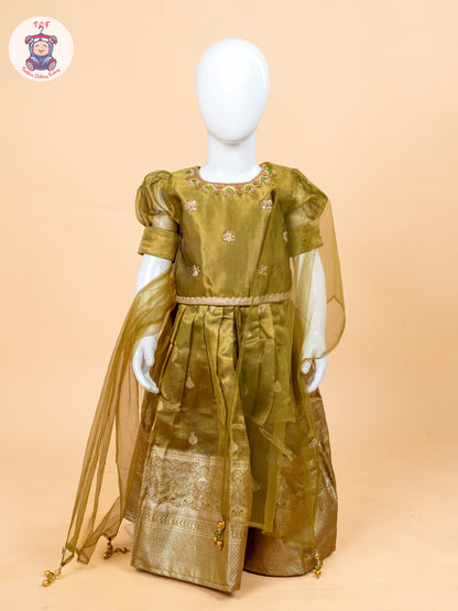 Light Green & Brown - Semi Leghanga Choli