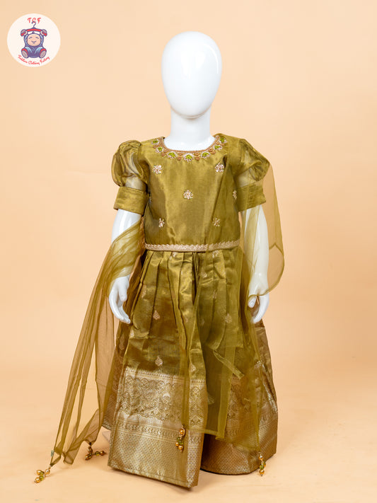 Light Green & Brown - Semi Leghanga Choli