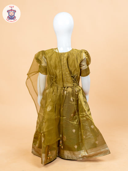 Light Green & Brown - Semi Leghanga Choli