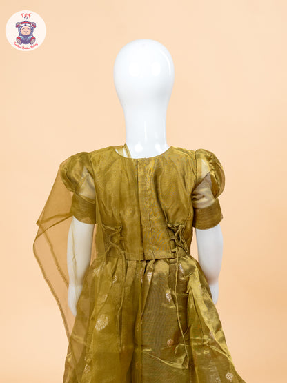 Light Green & Brown - Semi Leghanga Choli