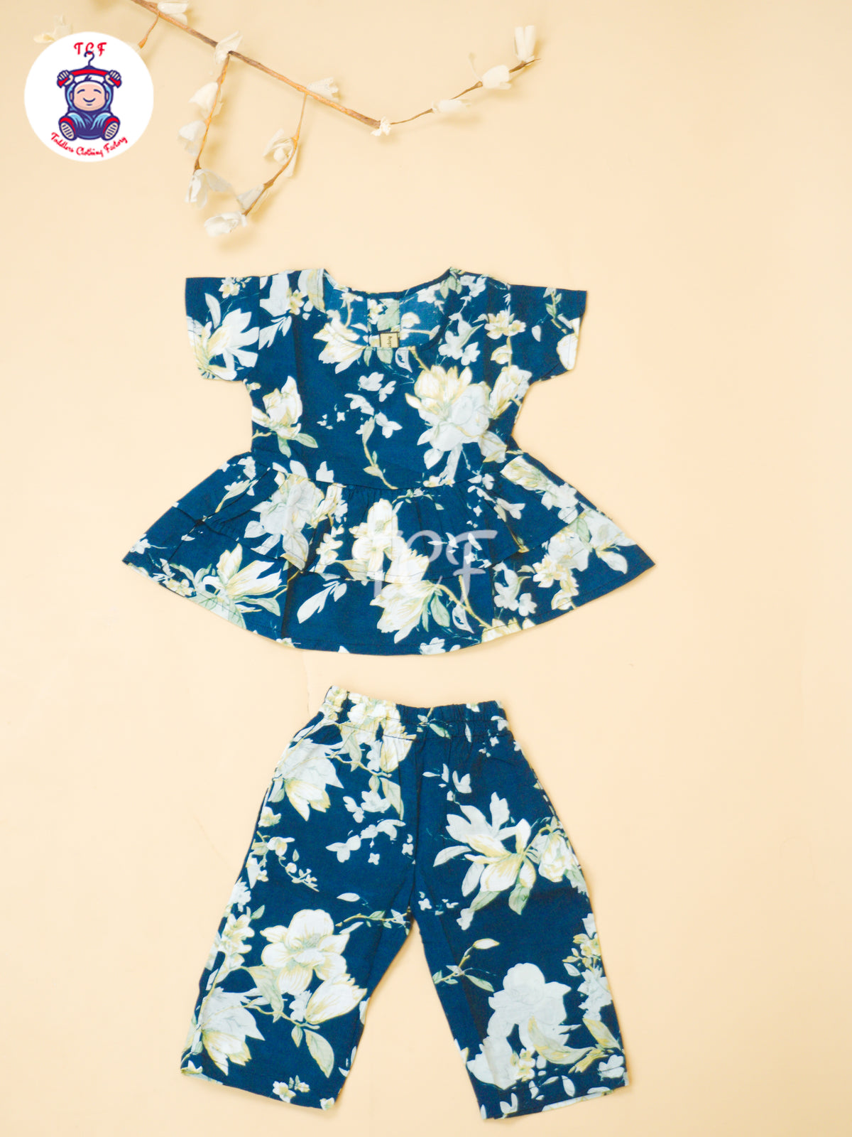 Sky Blue - Jaipur Floral printed Co-ords Sets