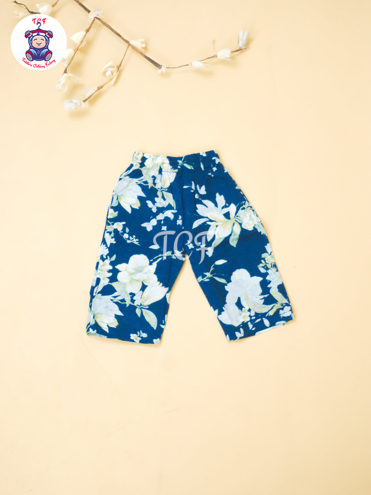 Sky Blue - Jaipur Floral printed Co-ords Sets