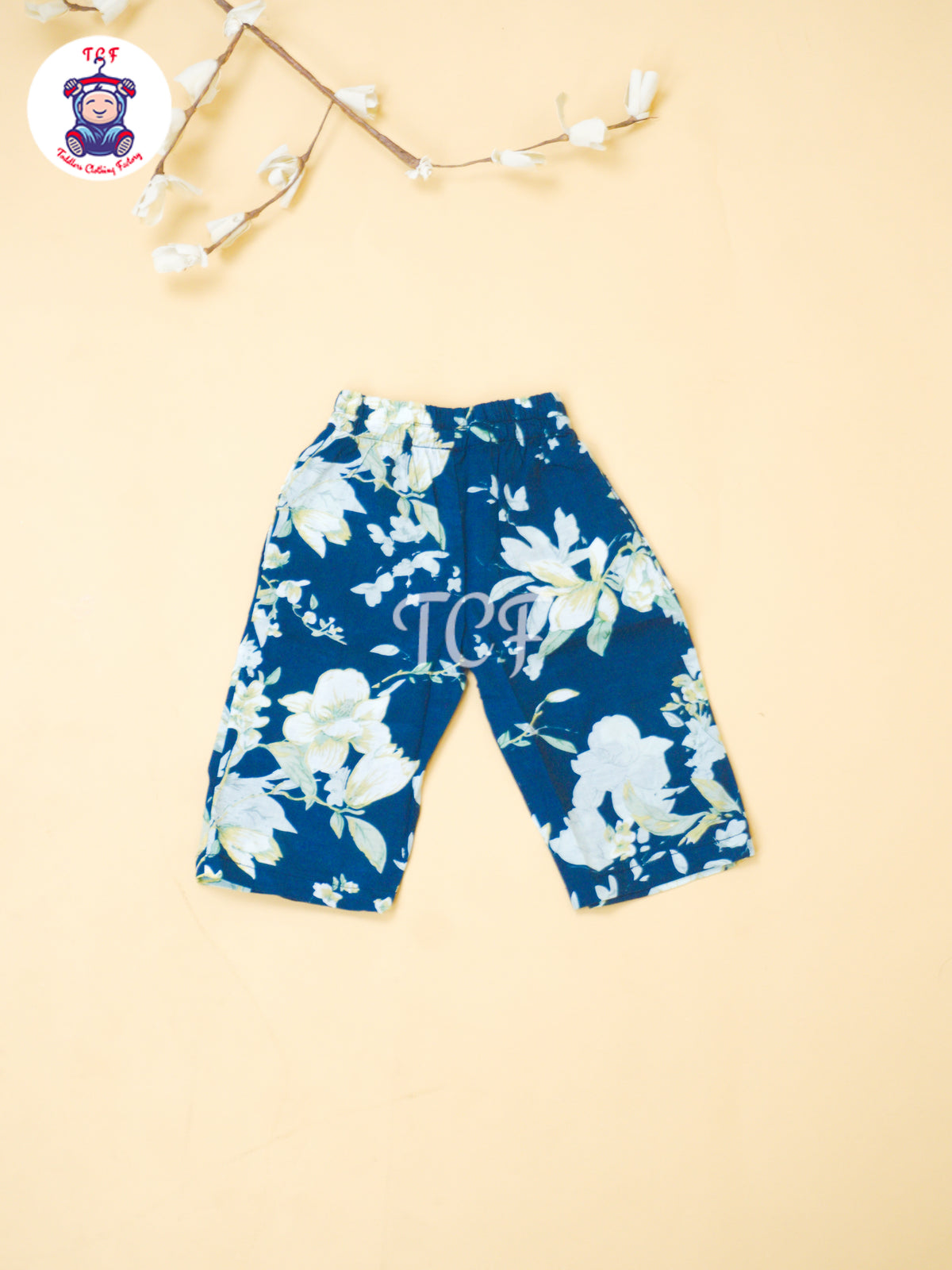 Sky Blue - Jaipur Floral printed Co-ords Sets