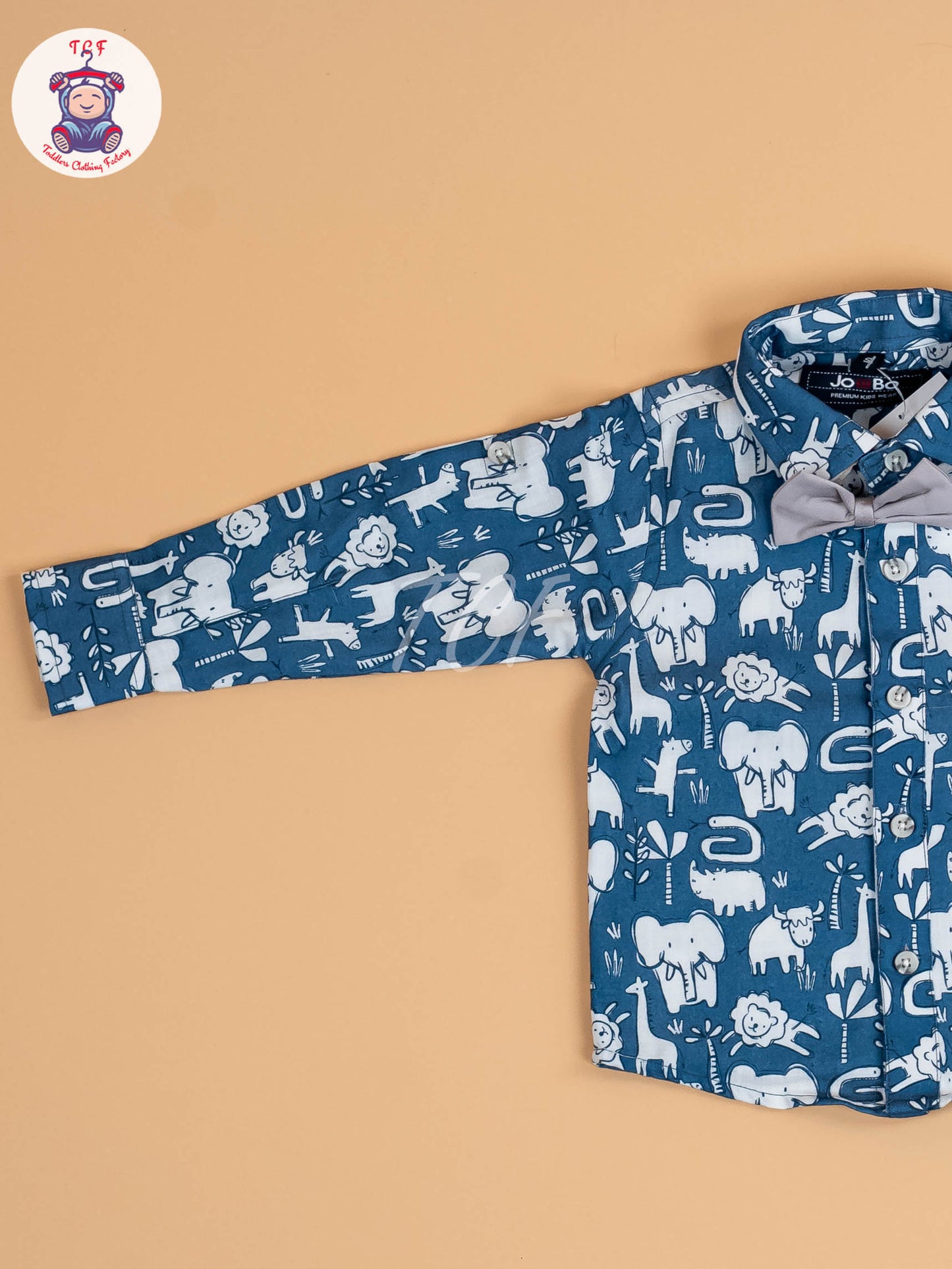 Blue - Boys Shirt & Pant