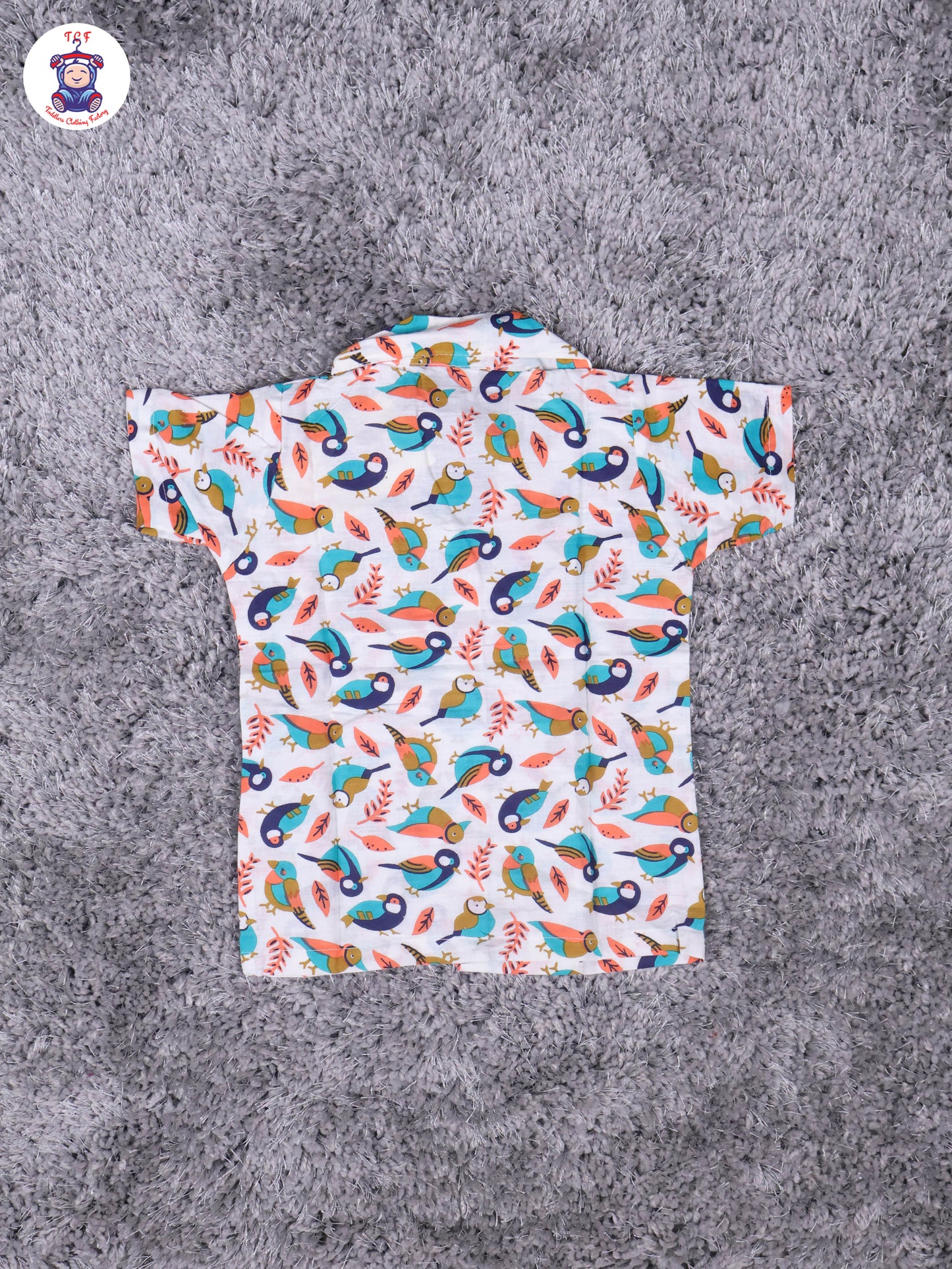 Teal Green & Navy Blue - Parrot Boys Readymade Cotton Shirts & Pant