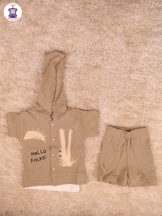 Brown Hoodie & T-Shirts With Shorts