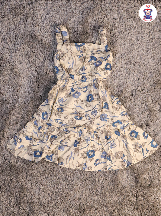 Cream & Blue - Floral Printed Frocks