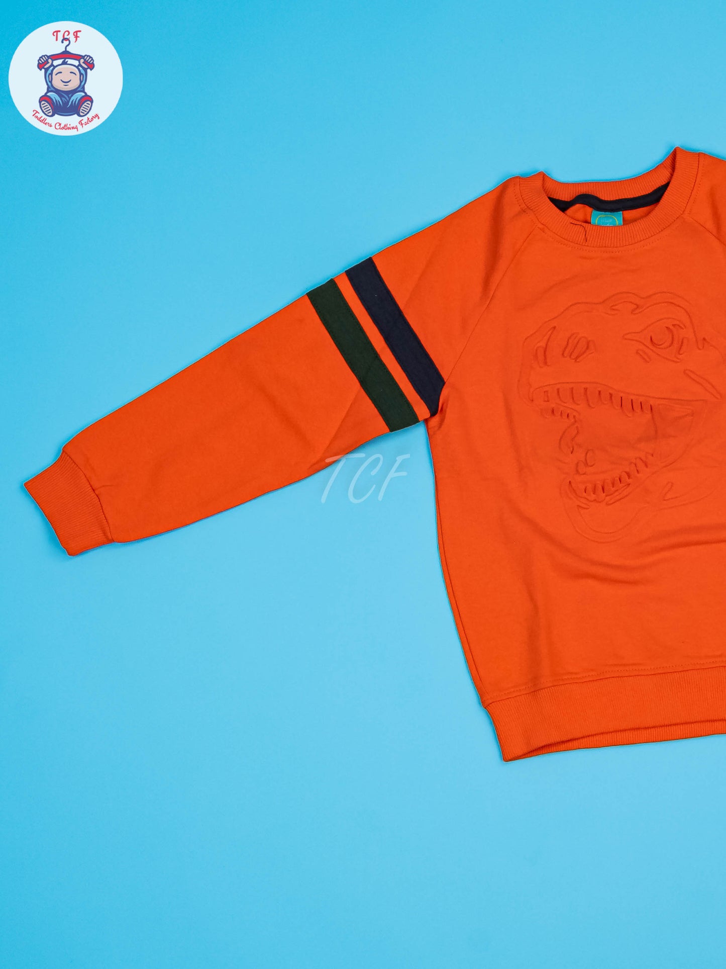 Orange - Boys Dino Sweatshirt