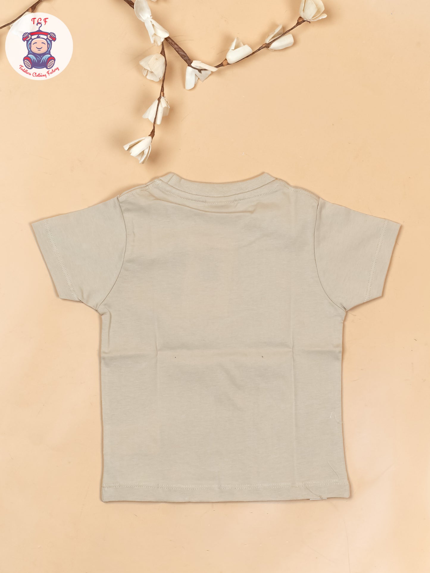 Brown - Boys Readymade T-Shirts