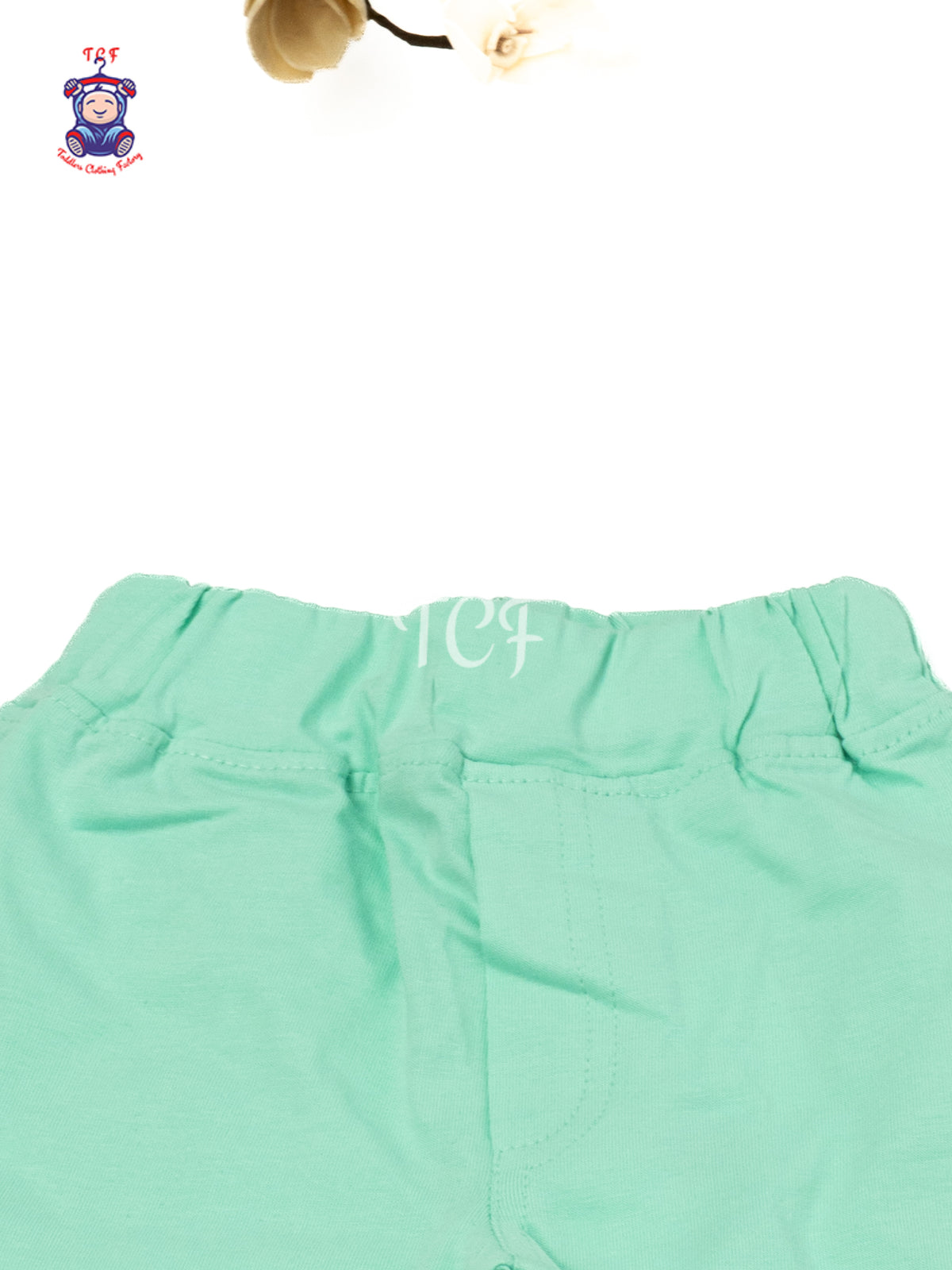 Mint Green Cotton Shorts