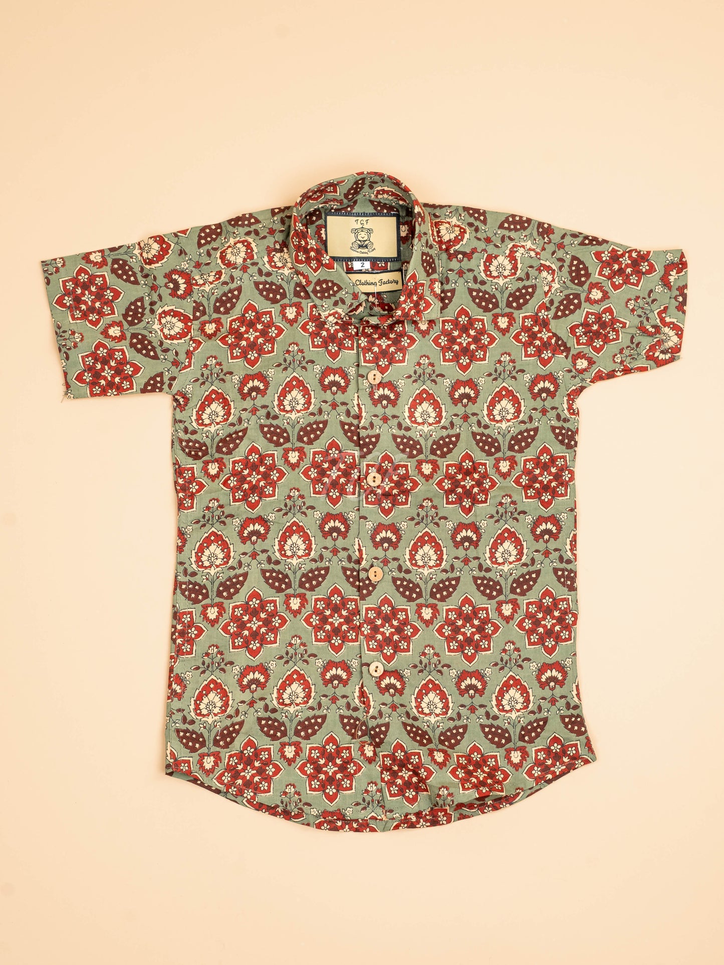 Light Green & Maroon - Boys Readymade Cotton Printed Shirts