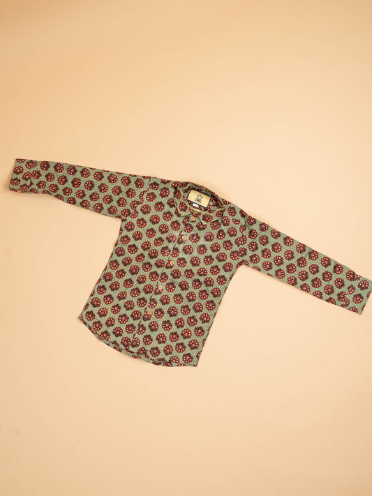 Light Green & Maroon - Boys Readymade Cotton Printed Shirts