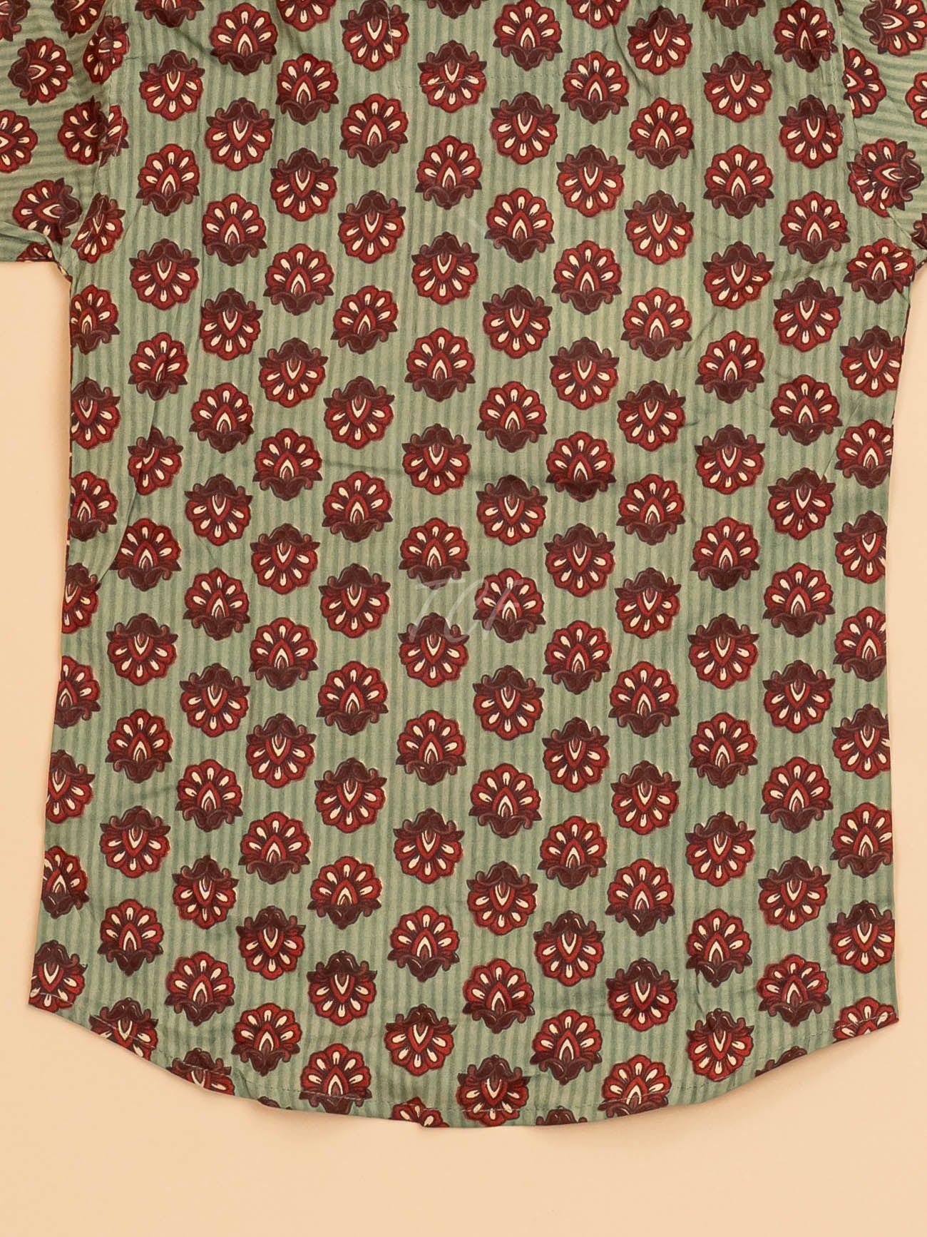 Light Green & Maroon - Boys Readymade Cotton Printed Shirts