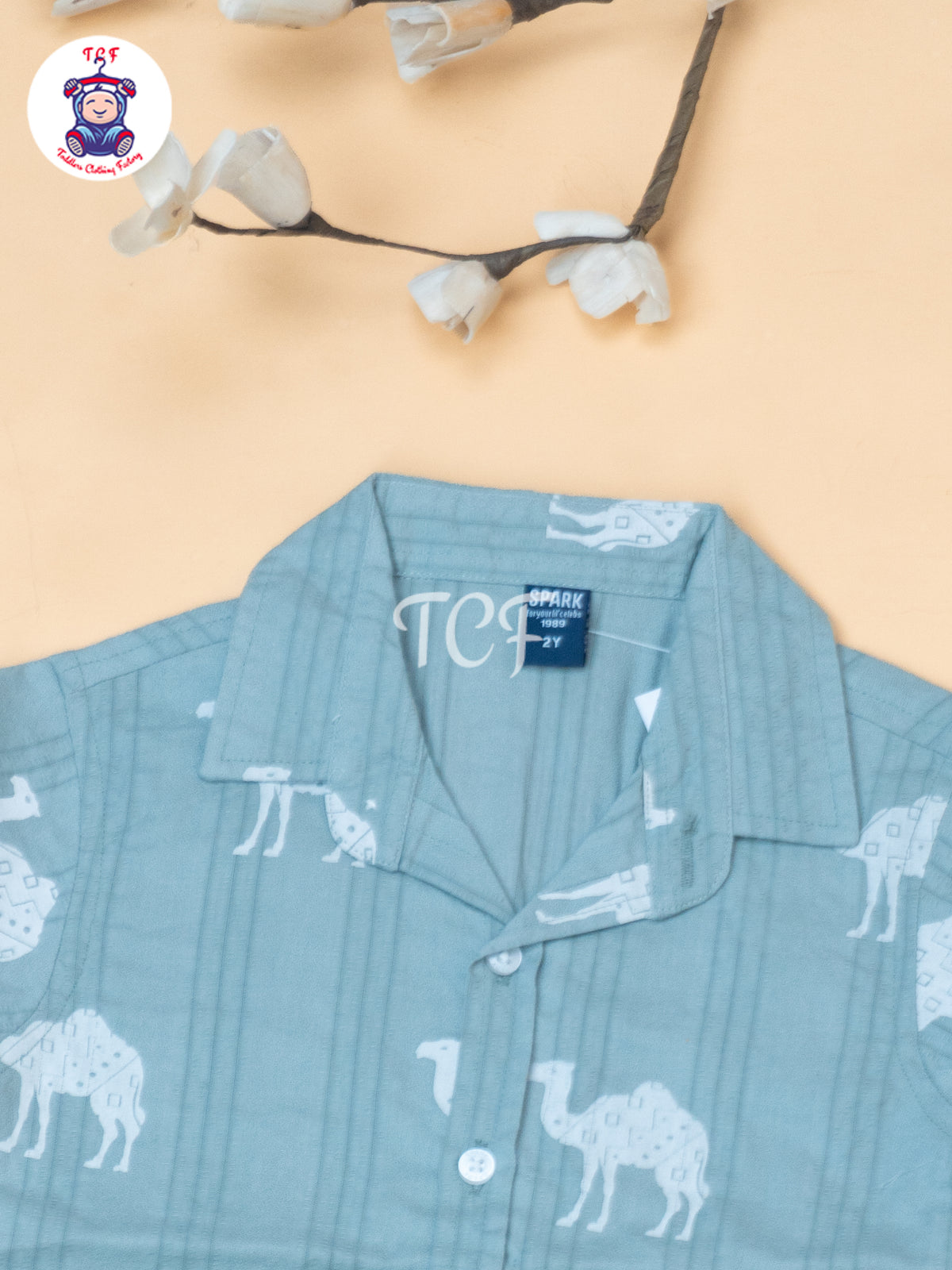 Sea Green - Boys Readymade Spread Collor Shirts & Suspender Sets