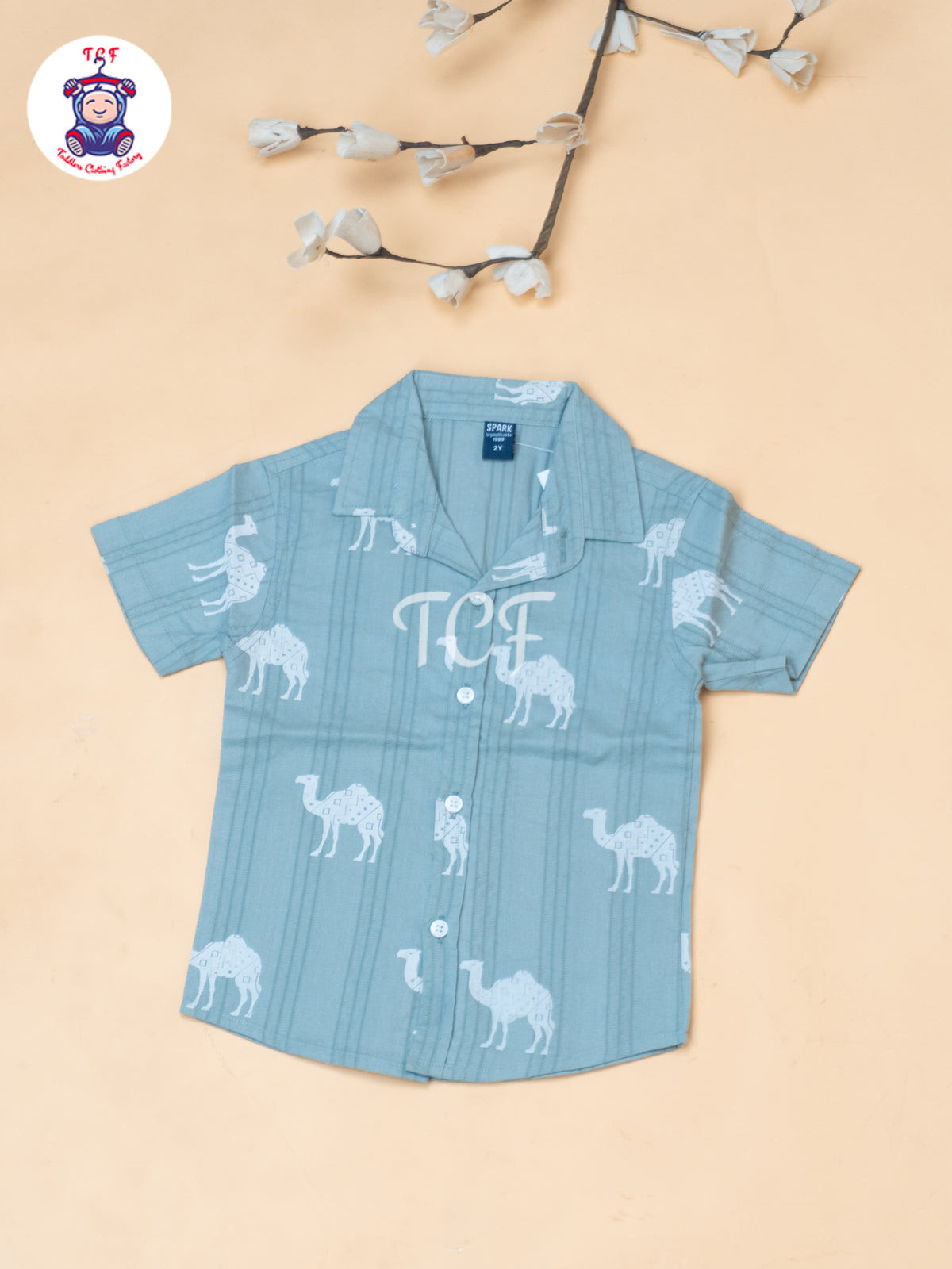 Sea Green - Boys Readymade Spread Collor Shirts & Suspender Sets