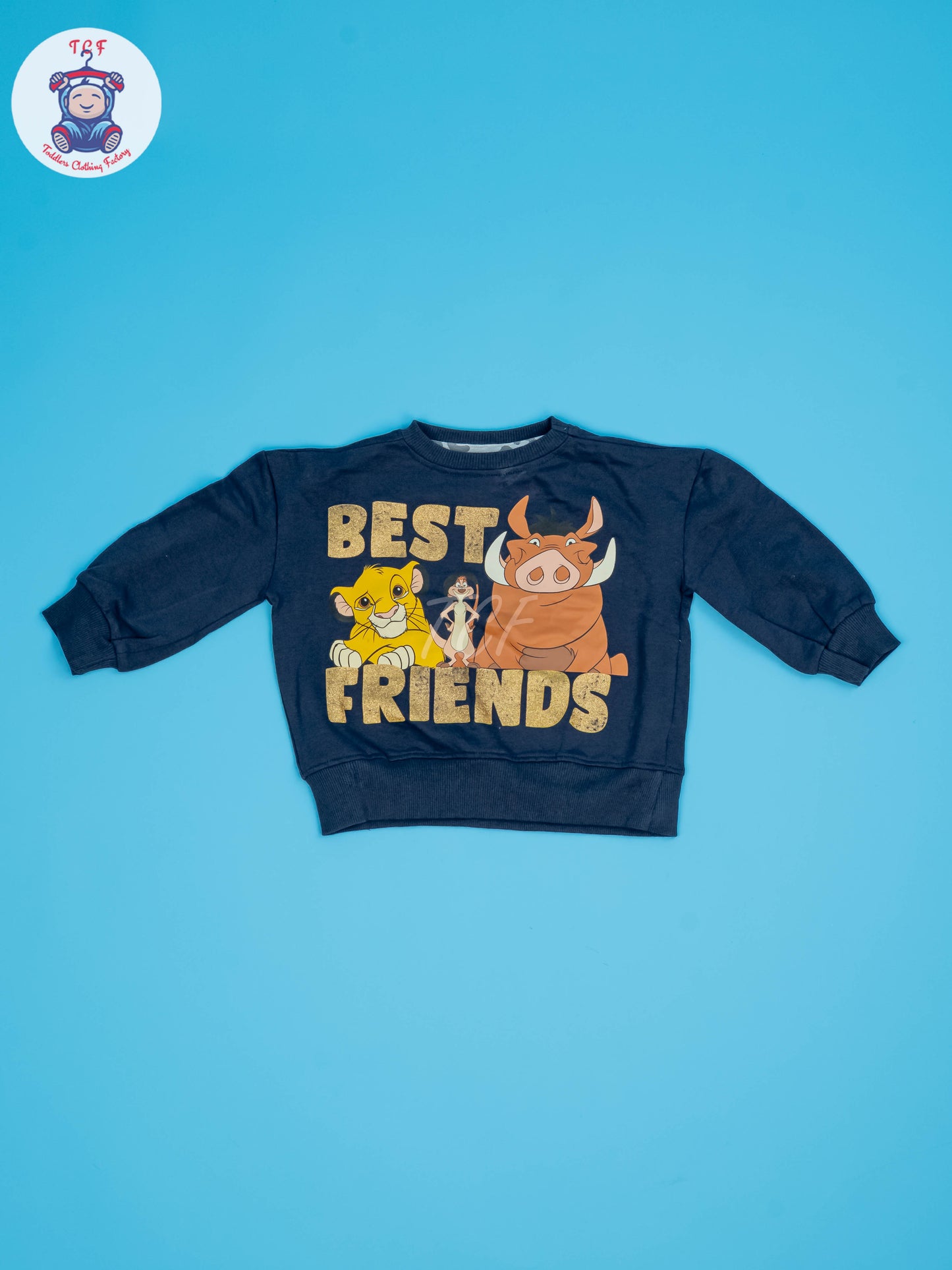 Blue & Grey - Sweat Shirt & Pant