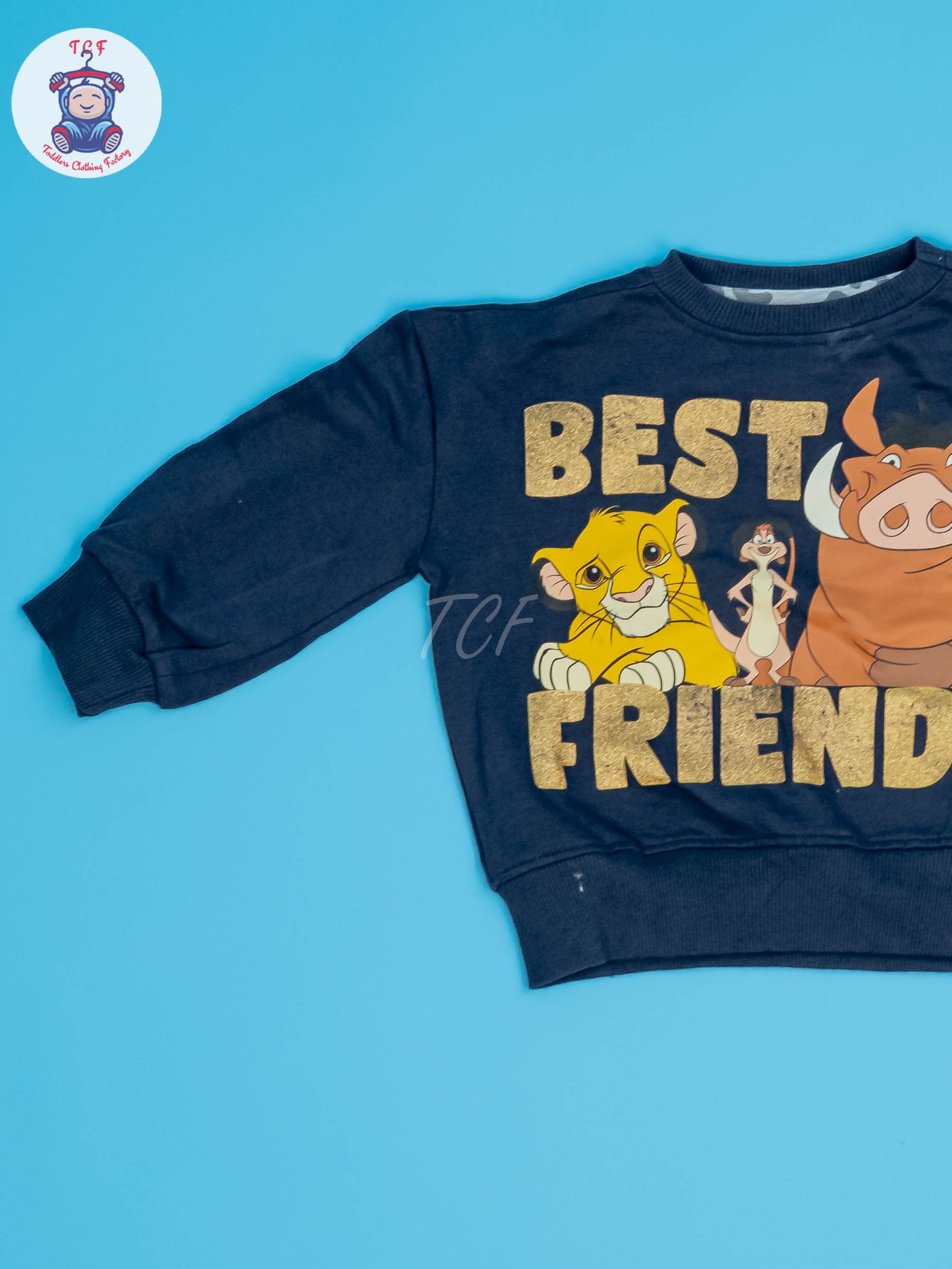 Blue & Grey - Sweat Shirt & Pant