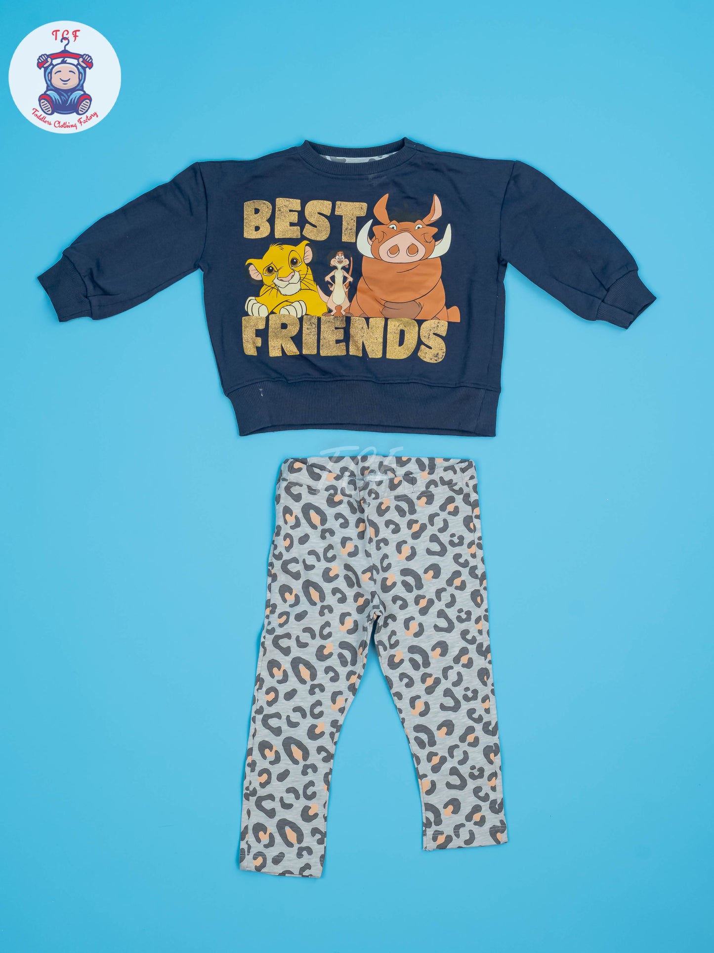 Blue & Grey - Sweat Shirt & Pant