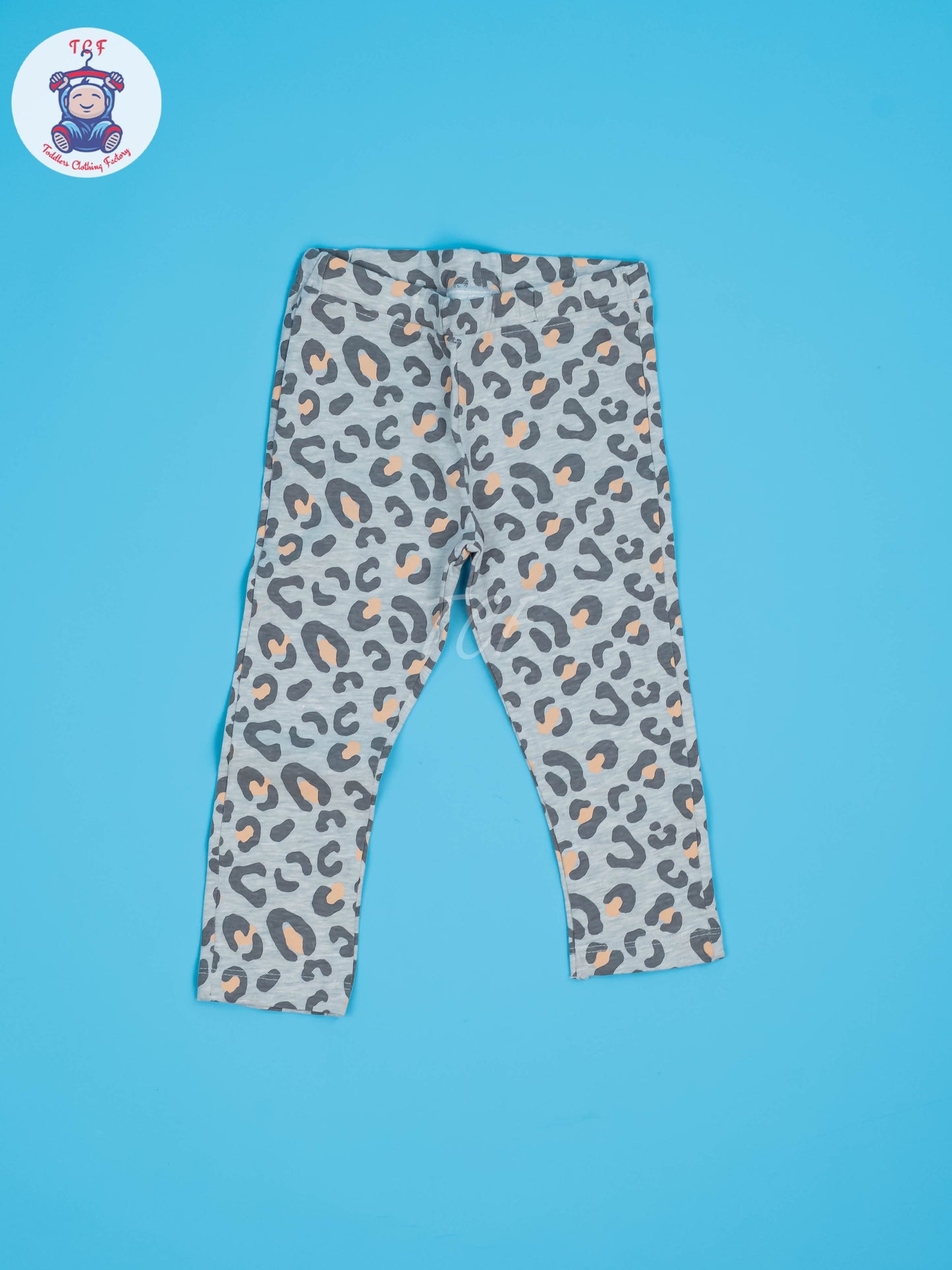 Blue & Grey - Sweat Shirt & Pant