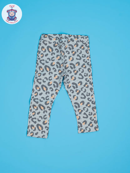 Blue & Grey - Sweat Shirt & Pant