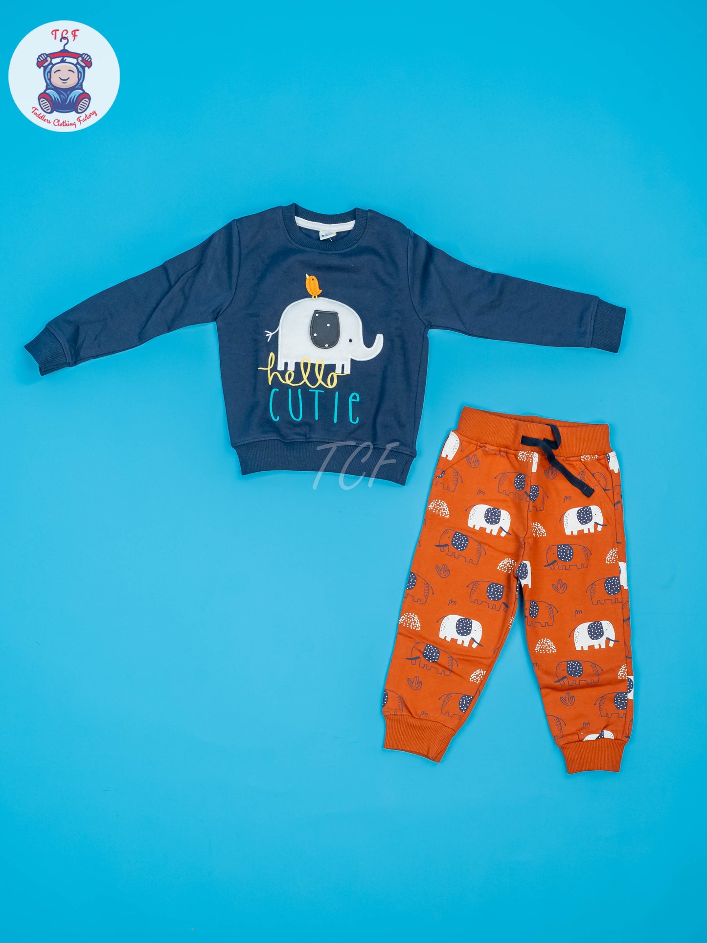 Baby Jogger set Blue