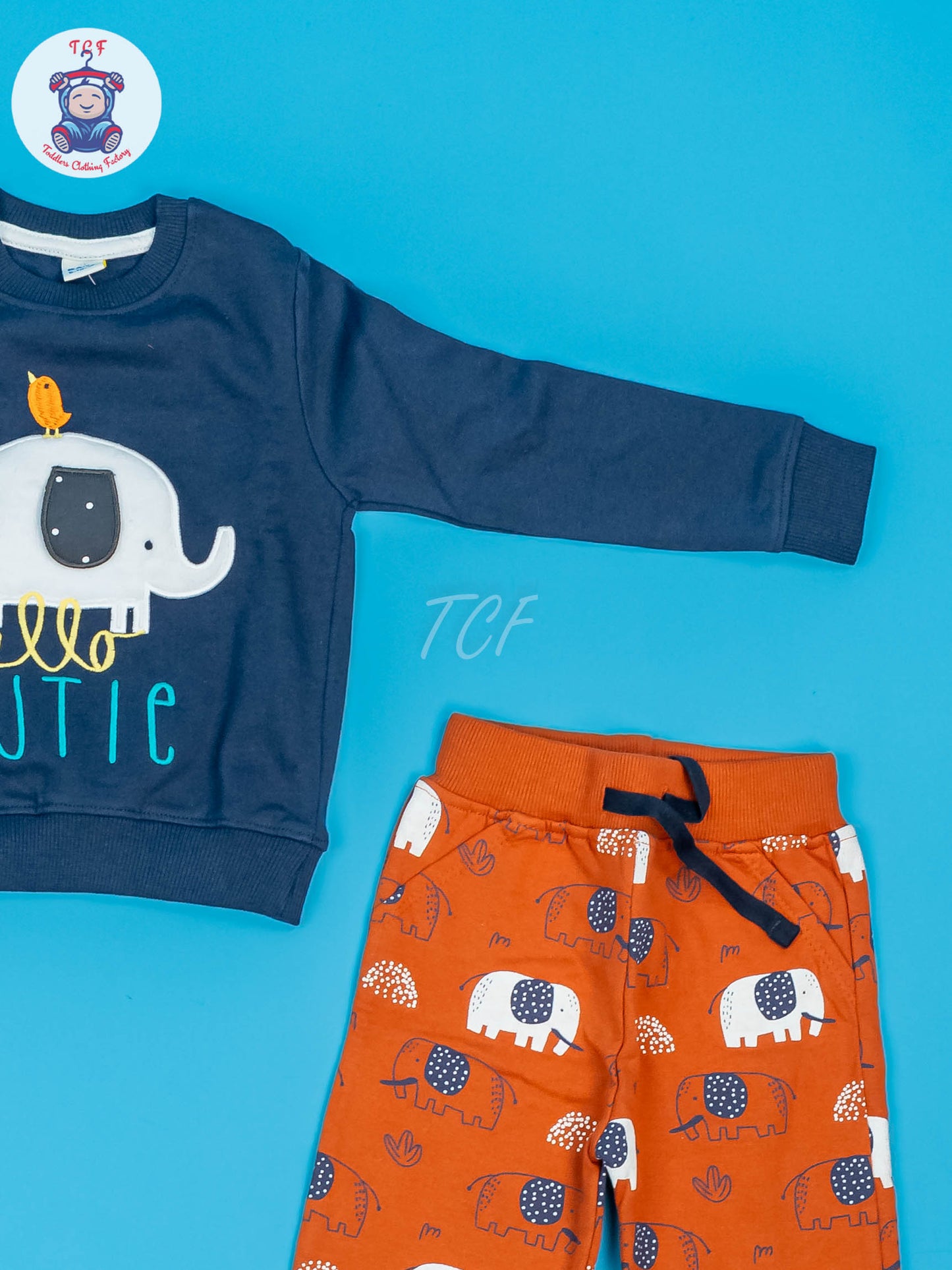 Baby Jogger set Blue