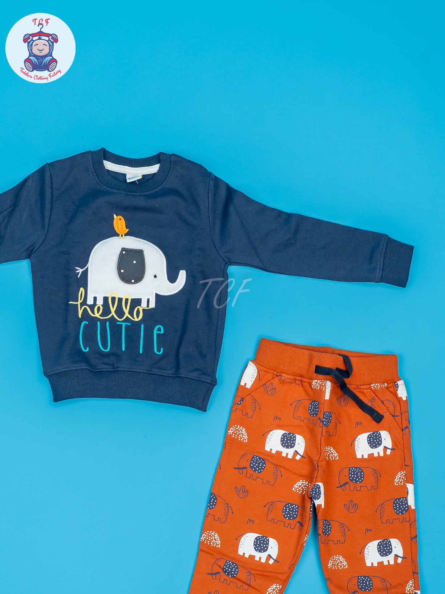 Baby Jogger set Blue