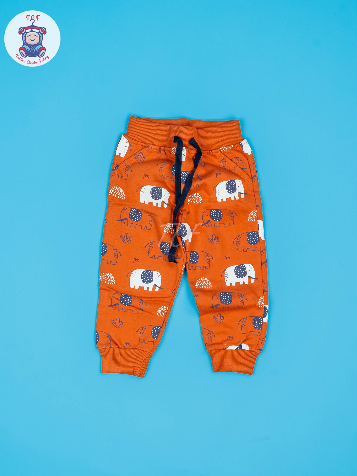 Baby Jogger set Blue