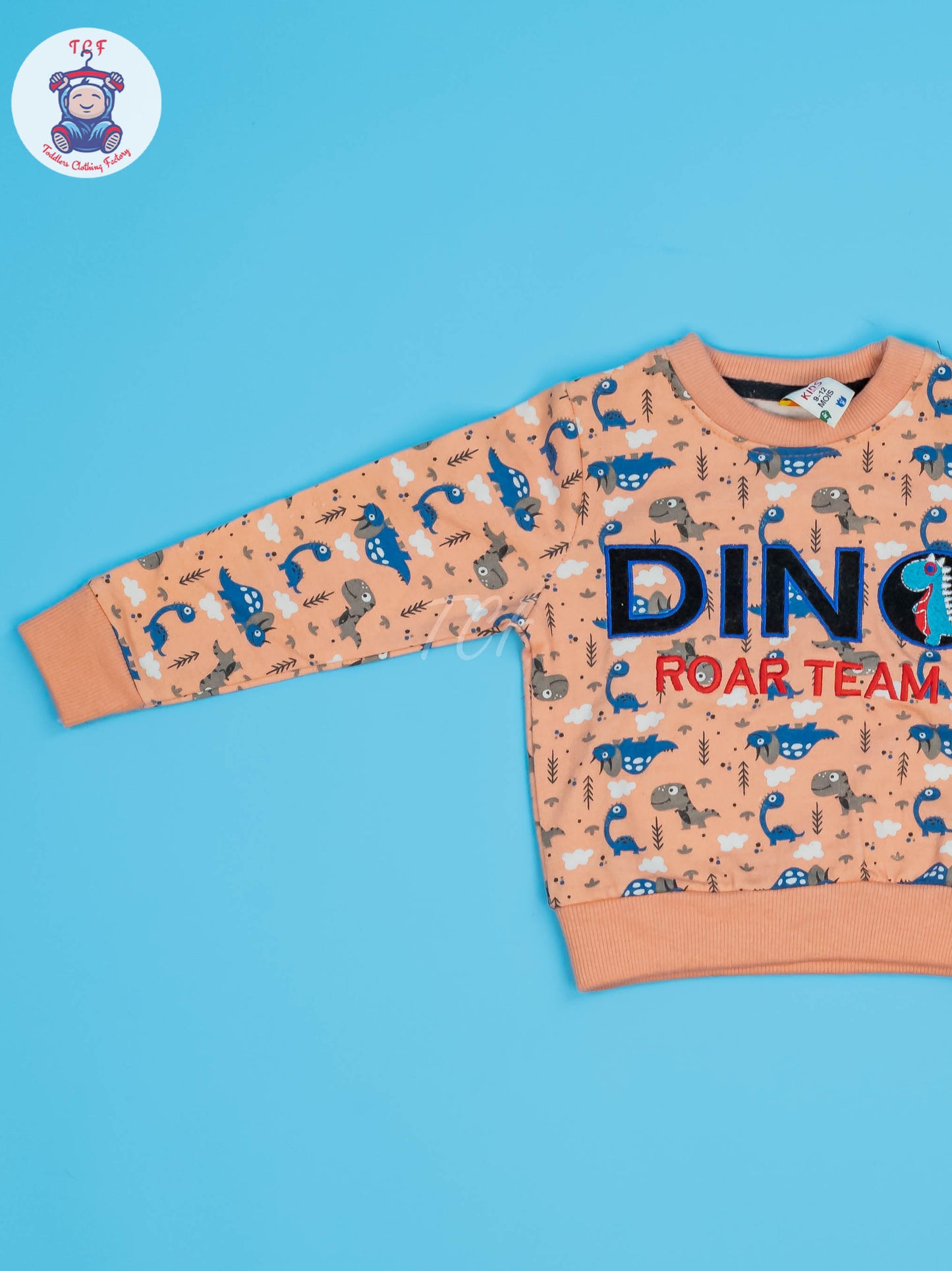 Kids Dino Jogger Set
